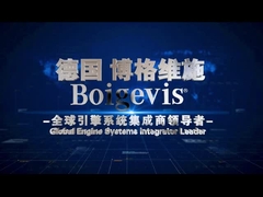 صمام محرك صناعة الدقة تغطي قطع غيار محرك السيارات 03C109210BP للقوس